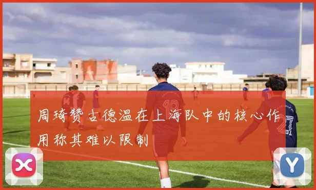 周琦赞古德温在上海队中的核心作用称其难以限制